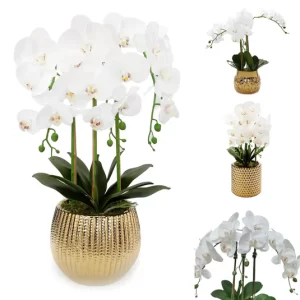 Flower Vases & Jars
